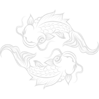 Pisces Zodiac sign on White Background