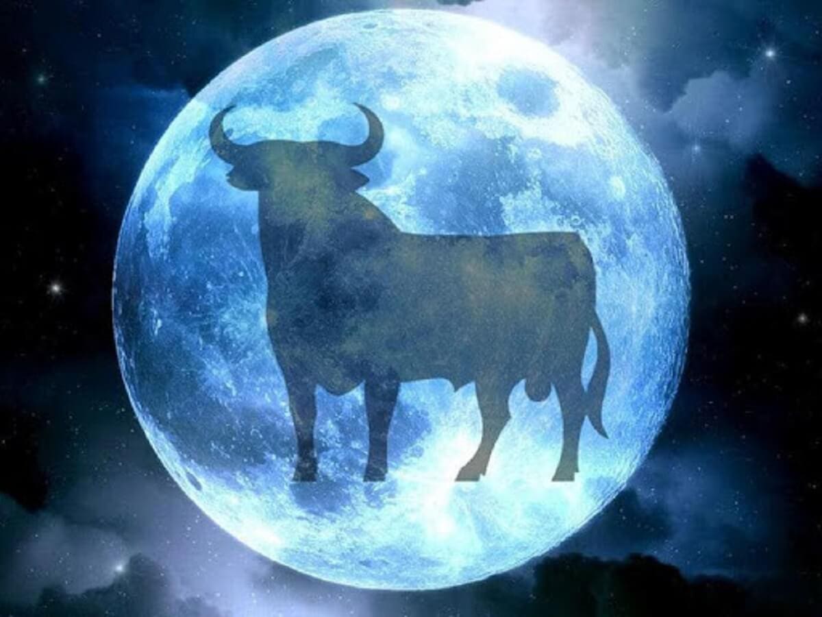 Taurus Moon Man